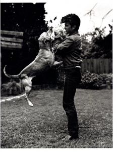 「BRUCE WEBER / Bruce Weber」画像5