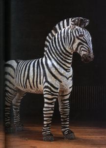 「アニマルズ / 三沢厚彦」画像2