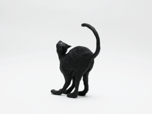 The Cat／菅谷晋一／(The Cat / Shinichi Sugaya)のサムネール