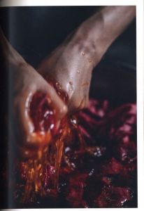 「みたての正月 / デザイン：鈴木孝尚」画像2