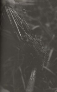 「みたての正月 / デザイン：鈴木孝尚」画像4