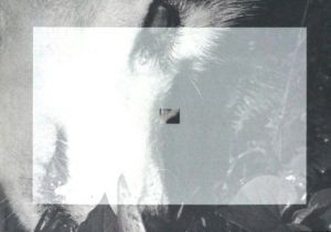 網膜直結指先目カメラのサムネール