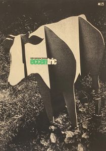 hysteric eccentric / 森山大道