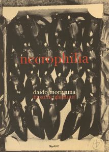 hysteric necrophilia／森山大道／(hysteric necrophilia / Daido Moriyama)のサムネール