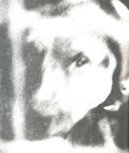 「太陽の川 / 著：吉増剛造　装丁：中西夏之、菊池信義」画像2