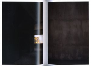 「Old Is New　新素材研究所の仕事 / 著：新素材研究所 / 杉本博司、榊田倫之　日本語版デザイン：下田理恵」画像2