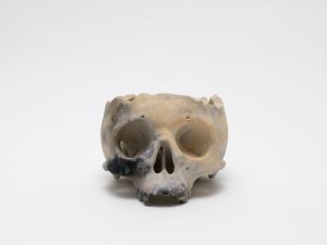 「植木鉢 PIT FIRING / 丸岡和吾」画像1