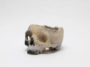 「植木鉢 PIT FIRING / 丸岡和吾」画像2