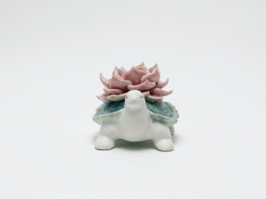 花亀／村田言恵／(Hanakame -Flower Turtle / Kotoe Murata)のサムネール