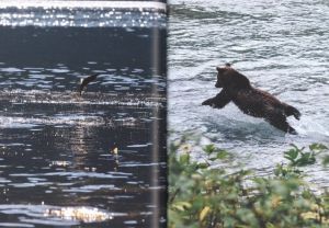 「GONE FISHING / Bruno Augsburger」画像2