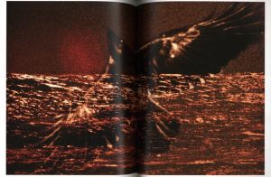 「MASAHISA FUKASE / 写真：深瀬昌久　序文：サイモン・ベイカー」画像3