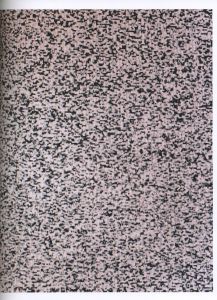 「Wolfgang Tillmans: To Look Without Fear / 著：ヴォルフガング・ティルマンス、ロクサナ・マルコチ」画像9