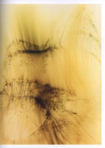 「Wolfgang Tillmans: To Look Without Fear / 著：ヴォルフガング・ティルマンス、ロクサナ・マルコチ」画像12