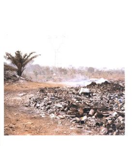 「NOLLYWOOD / Author: Pieter Hugo　Text: Chris Abani, Stacy Hardy, Zina Saro-Wiwa」画像4