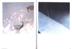 「PHOTO GRAPHICA 特集：川内倫子 2009 WINTER Vol.17 / 特集：川内倫子　編：沖本尚志」画像1