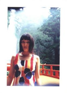 「野兎の眼 / 松本典子」画像1