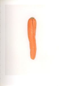 「DEFECTIVE CARROTS / TIm Smyth」画像2