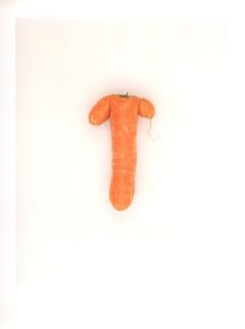 「DEFECTIVE CARROTS / TIm Smyth」画像3