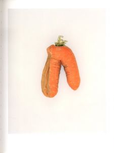 「DEFECTIVE CARROTS / TIm Smyth」画像6