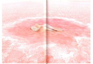 「Drinking From The Eye / Honey Long, Prue Stent」画像2