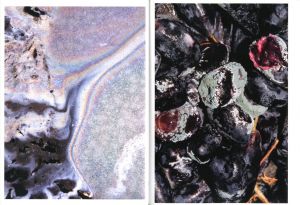 「Drinking From The Eye / Honey Long, Prue Stent」画像3