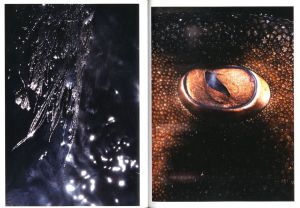 「Drinking From The Eye / Honey Long, Prue Stent」画像4