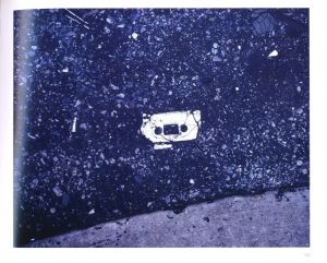 「99 CENT DREAMS / Doug Aitken」画像6