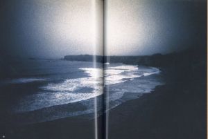 「アメリカンルーレット / 藤原新也」画像3