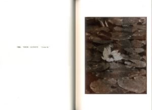 「写真 / 飯田幸次郎」画像1