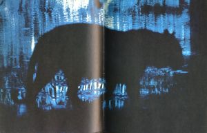 「A Poet and His Camera / Gordon Parks」画像6