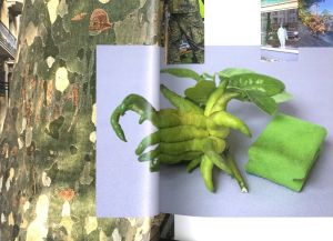 「Sound is Liquid / Wolfgang Tillmans」画像3