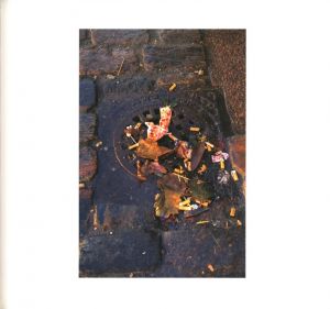 「TRANSLATOR / 柿本ケンサク」画像3