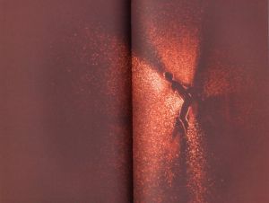 「Moonmilk / Ryan McGinley 」画像1