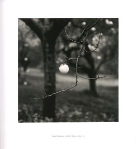 「ABRUZZO / Photo: Michael Kenna」画像3