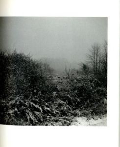 「雪を見ていた / 村越としや」画像1