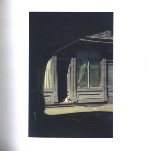 「SAUL LEITER　Early Color / Photo: Saul Leiter　Design: Martin Harrison」画像4