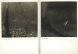「JOSEF SUDEK FOTO GRAFIE / Josef Sudek」画像3