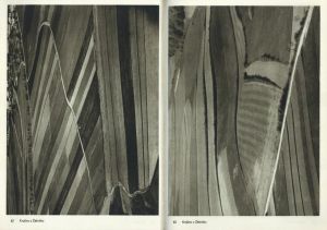 「JOSEF SUDEK FOTO GRAFIE / Josef Sudek」画像7