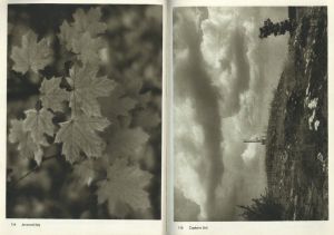 「JOSEF SUDEK FOTO GRAFIE / Josef Sudek」画像10