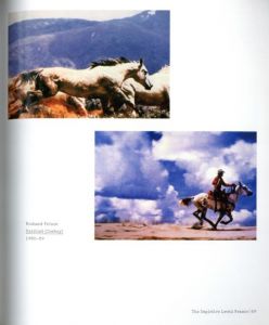 「The Nature of Photographs By Stephen Shore / Stephen Shore」画像3
