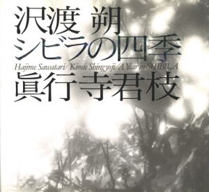 シビラの四季 / 写真：沢渡朔　文：眞行寺君枝
