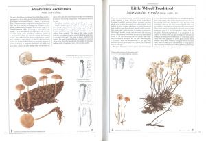 「The Hamlyn Book of Mushrooms and Fungi / Author: Dr. Mirko Svrček」画像4