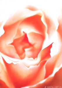 「森村泰昌と合田佐和子 / 森村泰昌、合田佐和子」画像5