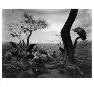 「SUGIMOTO / Hiroshi Sugimoto」画像5