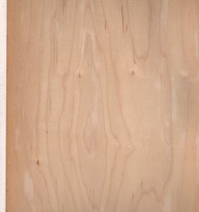 「HOKKAIDO MICHAEL KENNA / 写真：マイケル・ケンナ　序文：森山大道」画像1