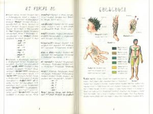 「Codex Seraphinianus / Luigi Serafini」画像4