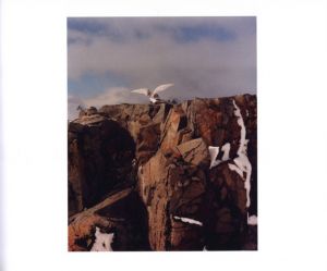 「 TO THE ANTARCTIC / Jamie Hawkesworth」画像4