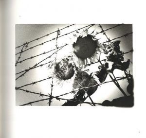 「Early Works 1970-1975 / 須田一政」画像4