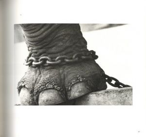 「Early Works 1970-1975 / 須田一政」画像5