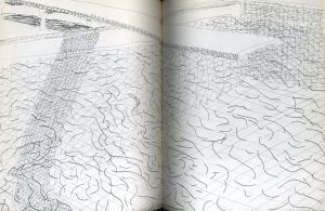 「Pictures by DAVID HOCKNEY / David Hockney」画像4